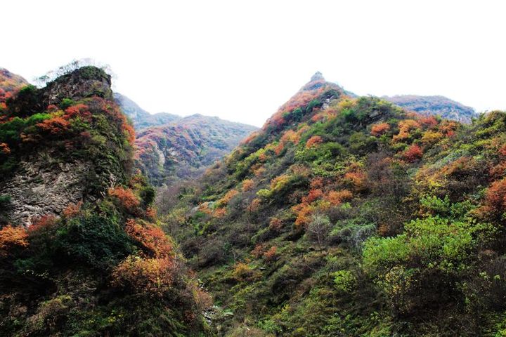 竹峪