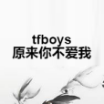 tfboys原來你不愛我