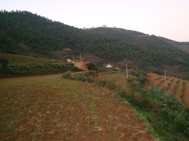 陰東山村(雲南省楚雄市八角鎮灑洲村委會陰東山村)