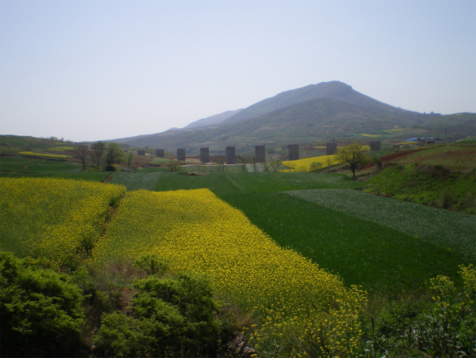 名村展播