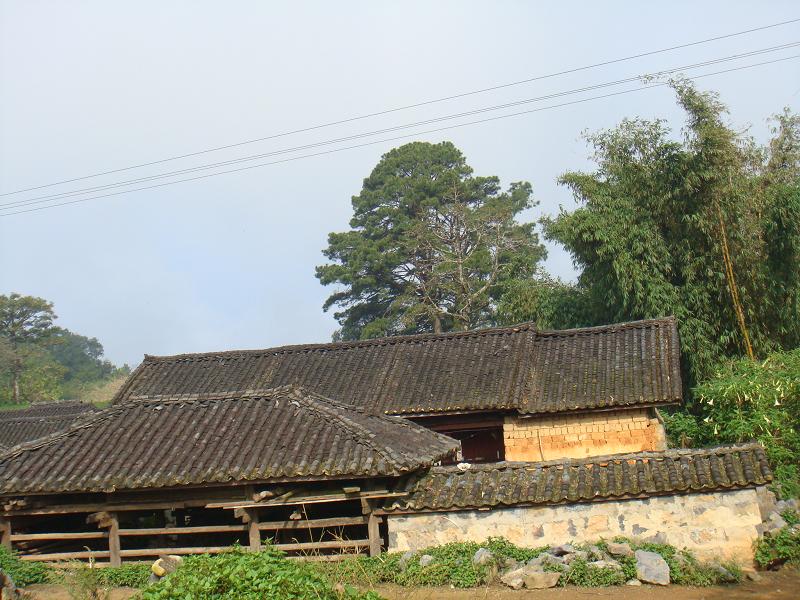 上黃草壩自然村