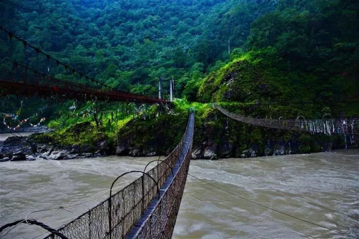 德興藤網橋