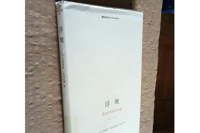 浮現(2008年南京大學出版社出版的圖書)