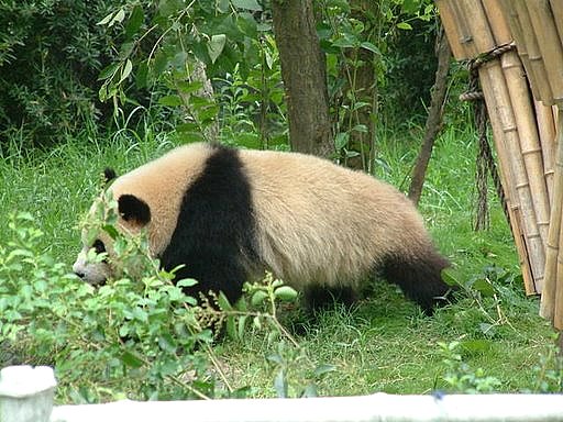 九寨溝國家級自然保護區