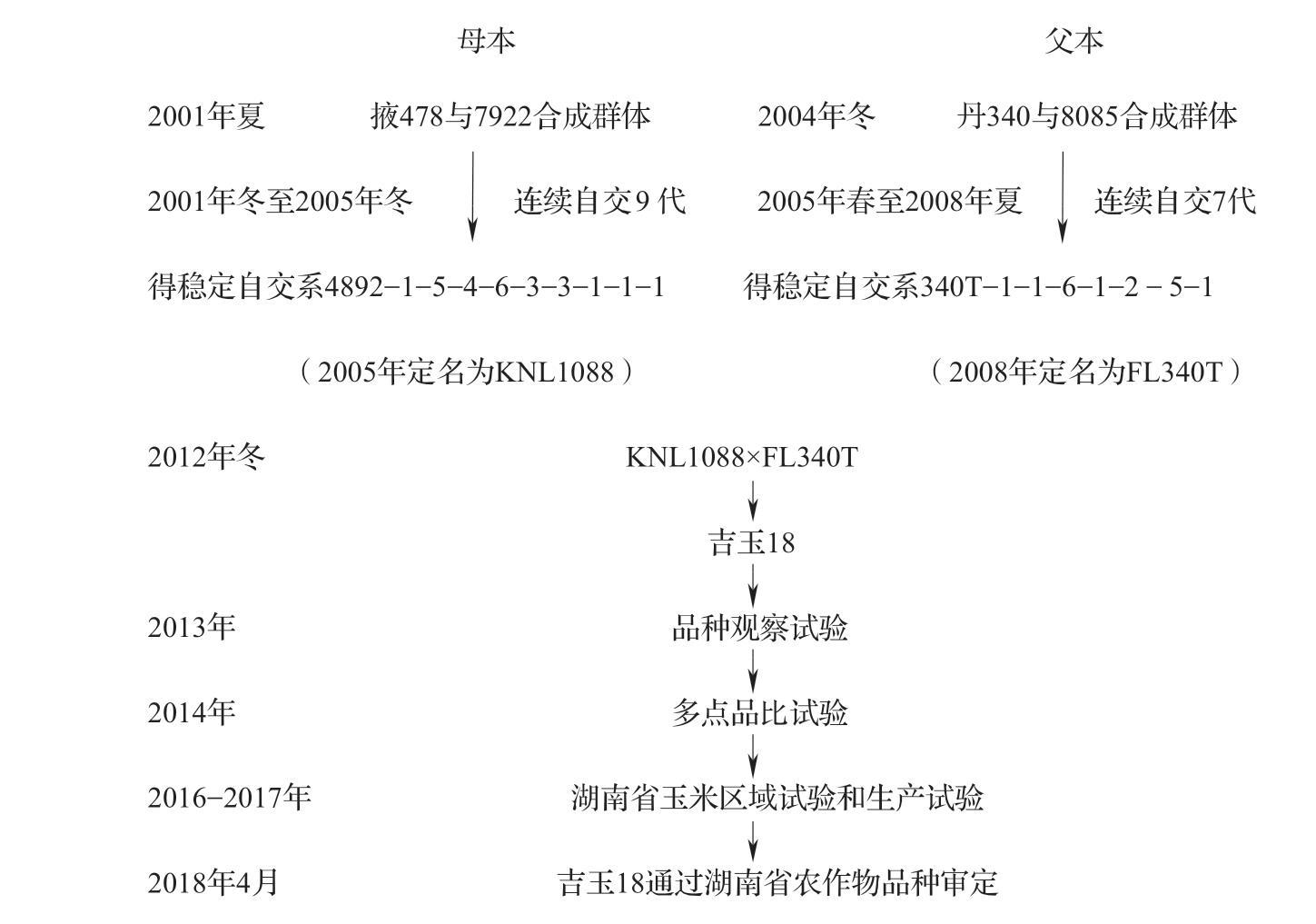 吉玉18