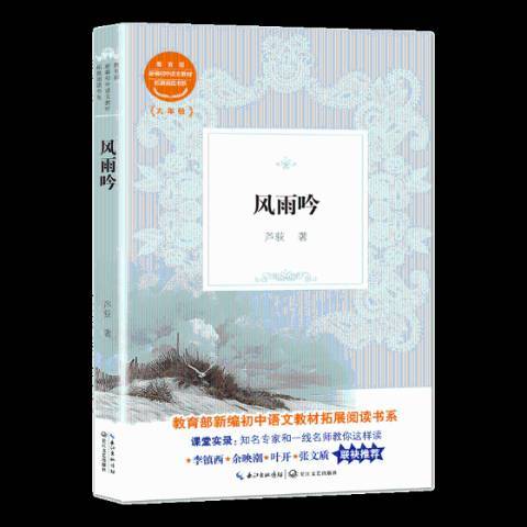 風雨吟(2019年長江文藝出版社出版的圖書)