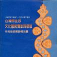 台灣原住民文化藝術傳承與發展系列座談實錄報告書