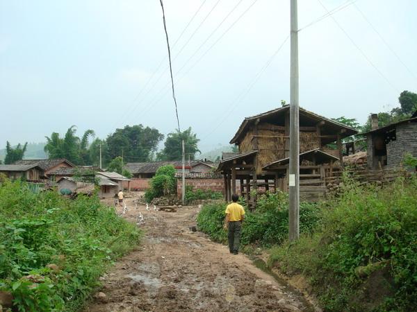 進村道路