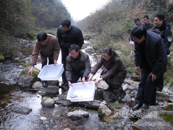 忠建河大鯢國家自然保護區