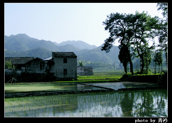 阜山(浙江古鎮阜山)