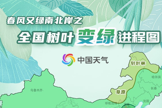 2021年全國樹葉變綠進程圖