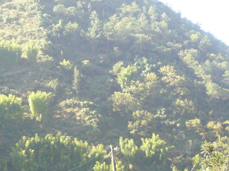 院牆村(雲南省楚雄市大姚縣石羊鎮院牆村)