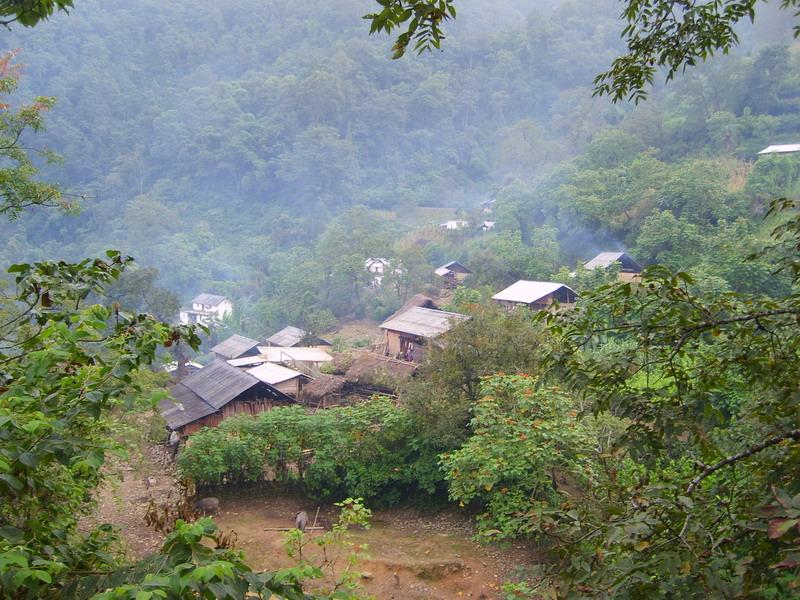 坡竹山村