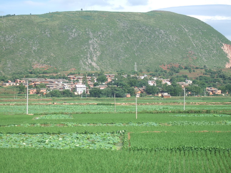 溝埂村