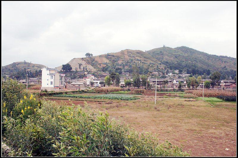 雲南大理彌渡縣彌城鎮龍泉村委會石咀村