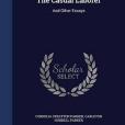 The Casual Laborer: And Other Essays