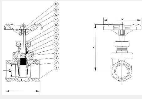 Z11H絲口閘閥