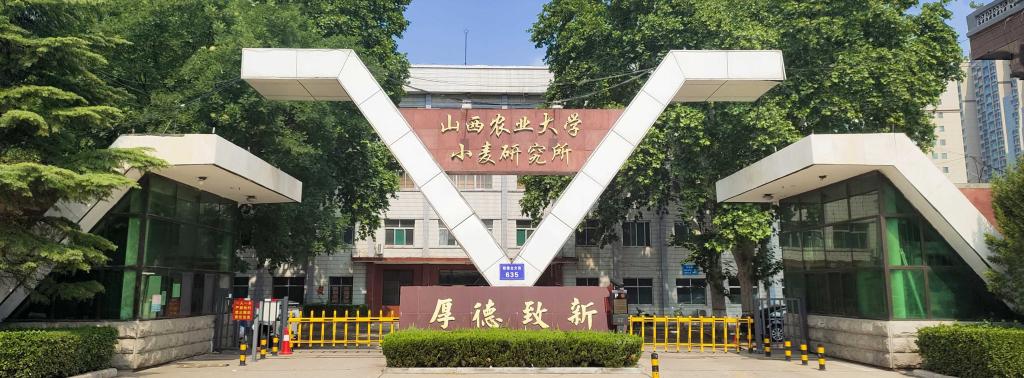 山西農業大學小麥研究所