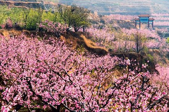 劉台桃花源旅遊風景區