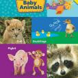 Baby Animals(Nadeem Zaidi著圖書)