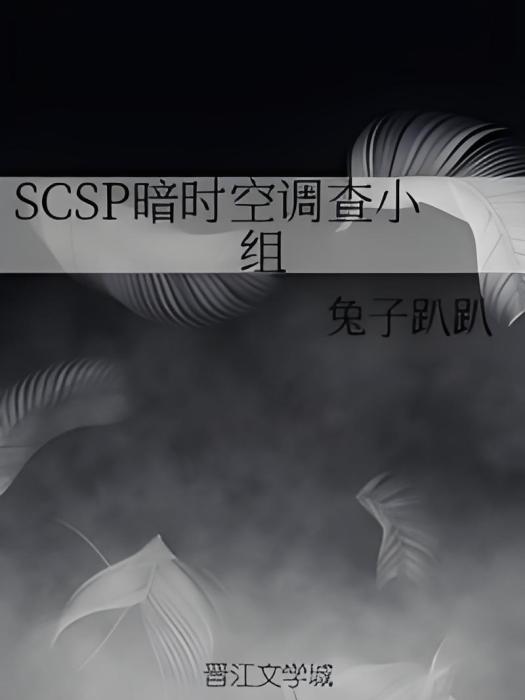 SCSP暗時空調查小組