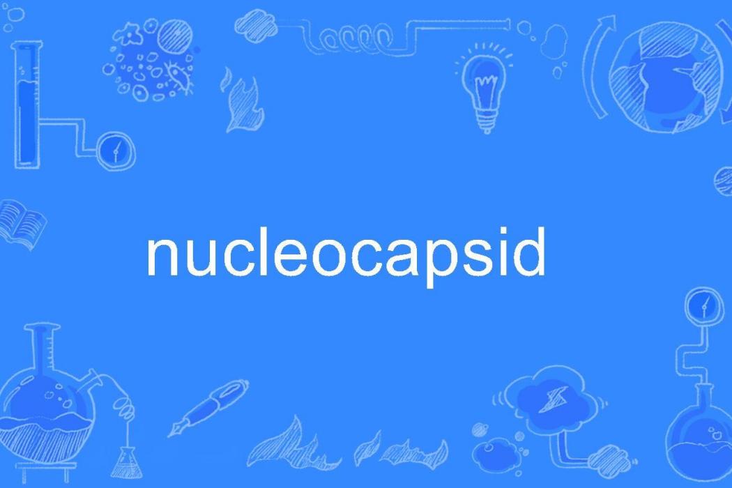 nucleocapsid