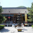 雲居寺塔及石經