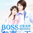 試愛成婚，BOSS追妻一百天