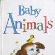 Baby Animals(Gyo Fujikawa著圖書)