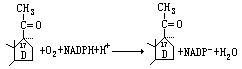 甾類（化合物）17α-羥化酶