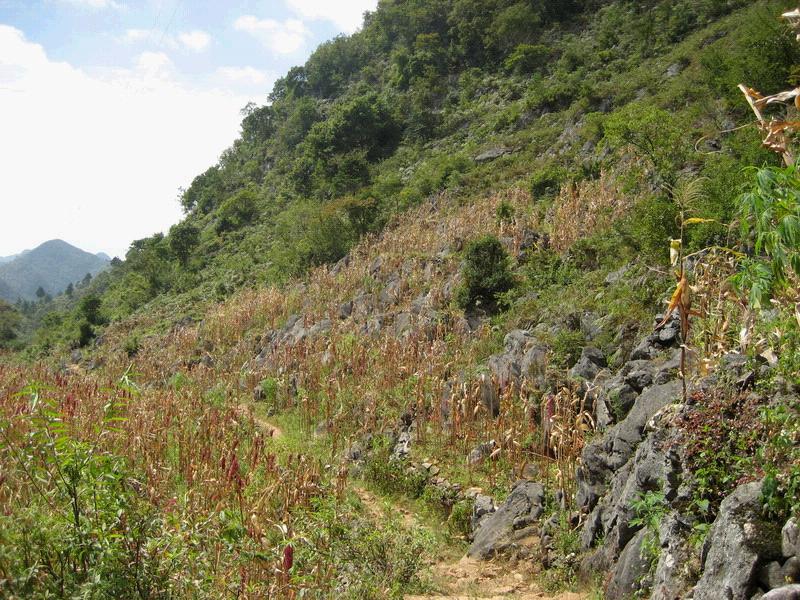 那定小組村