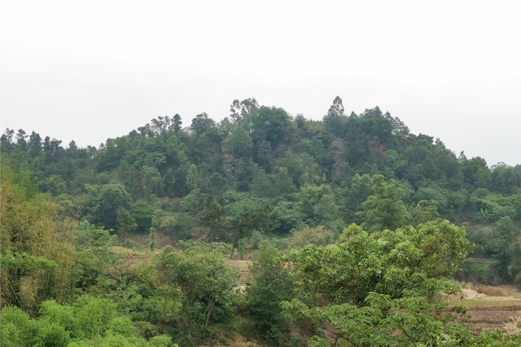 玉寺山