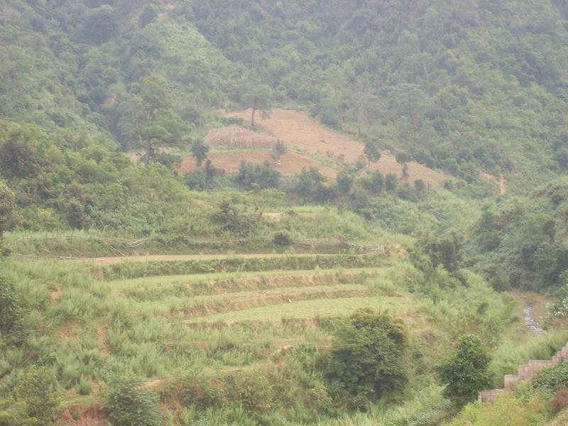 螃蟹箐村(易門縣龍泉鎮水橋村民委員會下轄村)