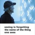 Seeing Is Forgetting the Name of the Thing One Sees(2009年University of California Press出版的圖書)