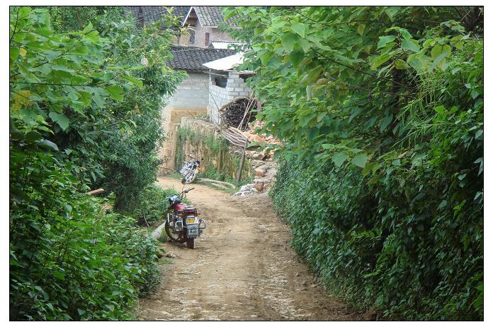 蕎地自然村村內道路