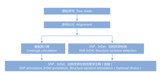 全基因組重測序