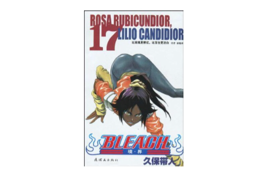 BLEACH 境·界17