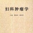 婦科腫瘤學(中國腫瘤醫師臨床實踐指南叢書：婦科腫瘤學)