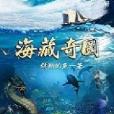 海藏奇圖