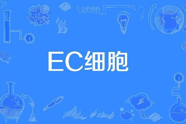 EC細胞