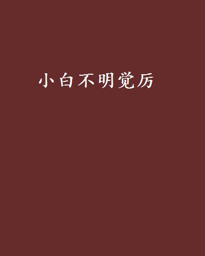 小白不明覺厲