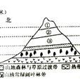 山地垂直自然帶