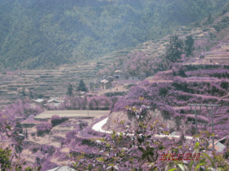 四都鄉(浙江松陽縣四都鄉)