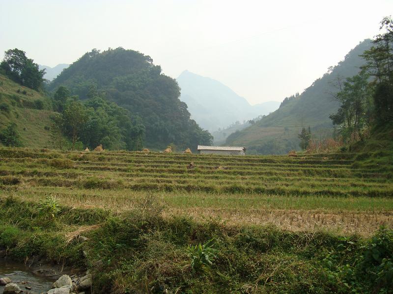 黑龍村(雲南省昭通威信縣羅布鄉黑龍村委會)