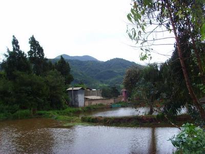 牛足村