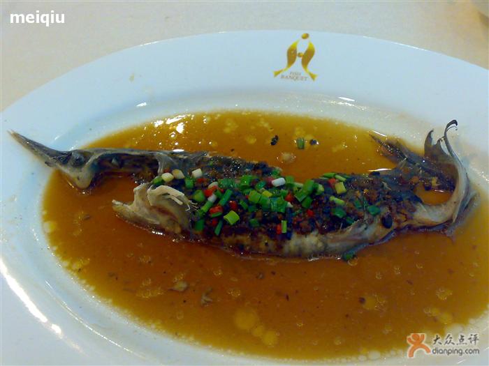 鱘魚