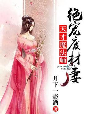 天才魔法師：絕寵廢材妻