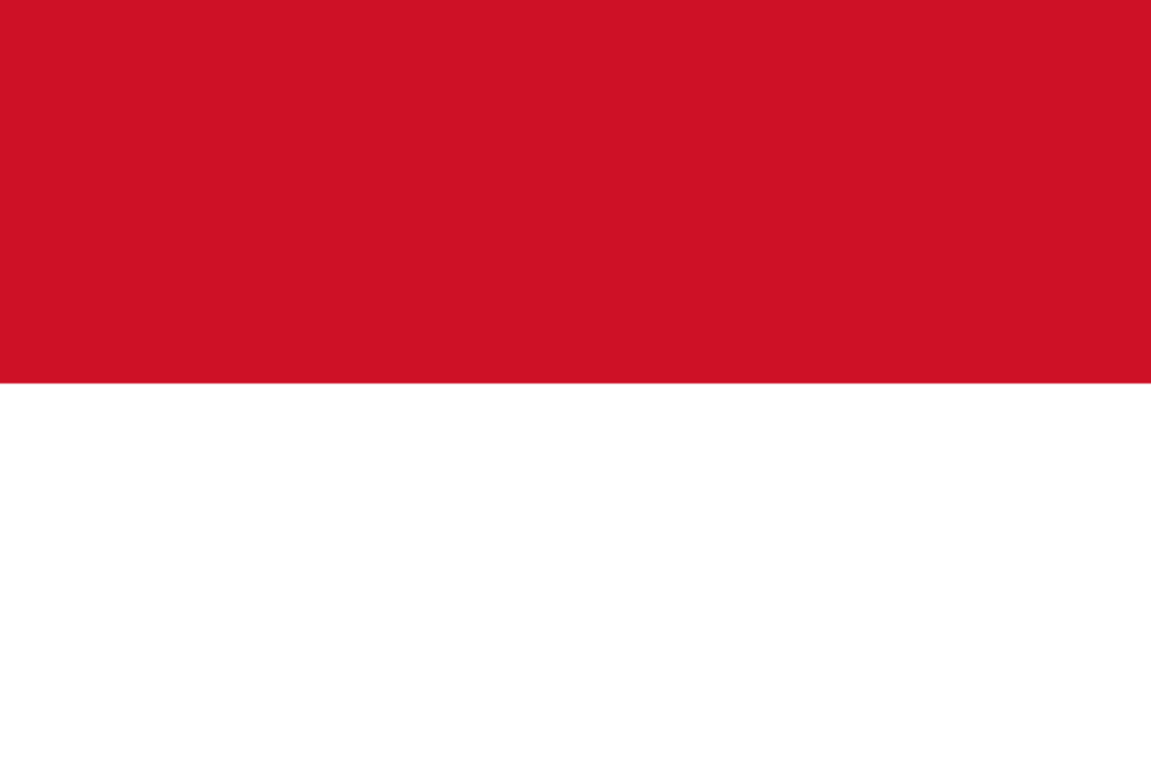 2020年東京奧運會印度尼西亞體育代表團
