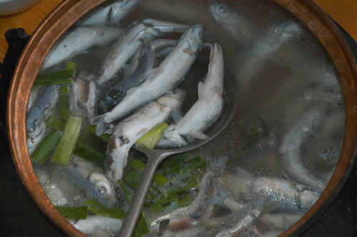 明星蘸水食洞魚