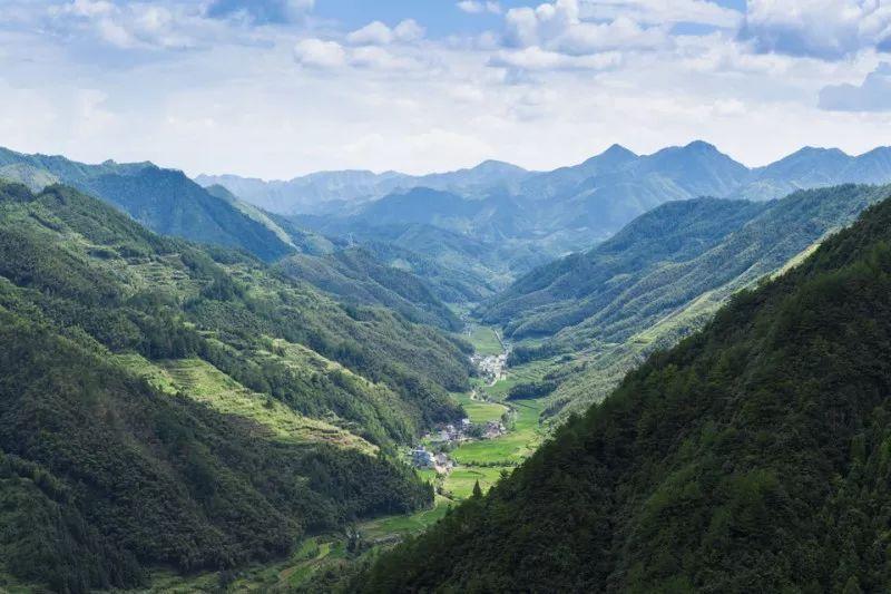 四川九龍山自然保護區